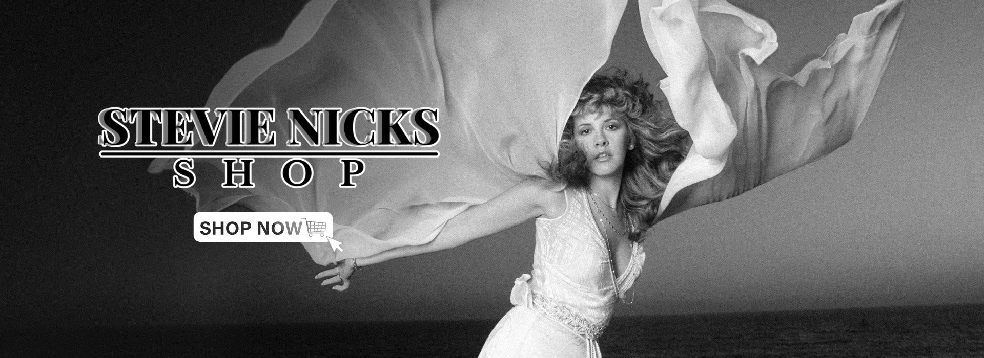 Stevie Nicks Shop Banner