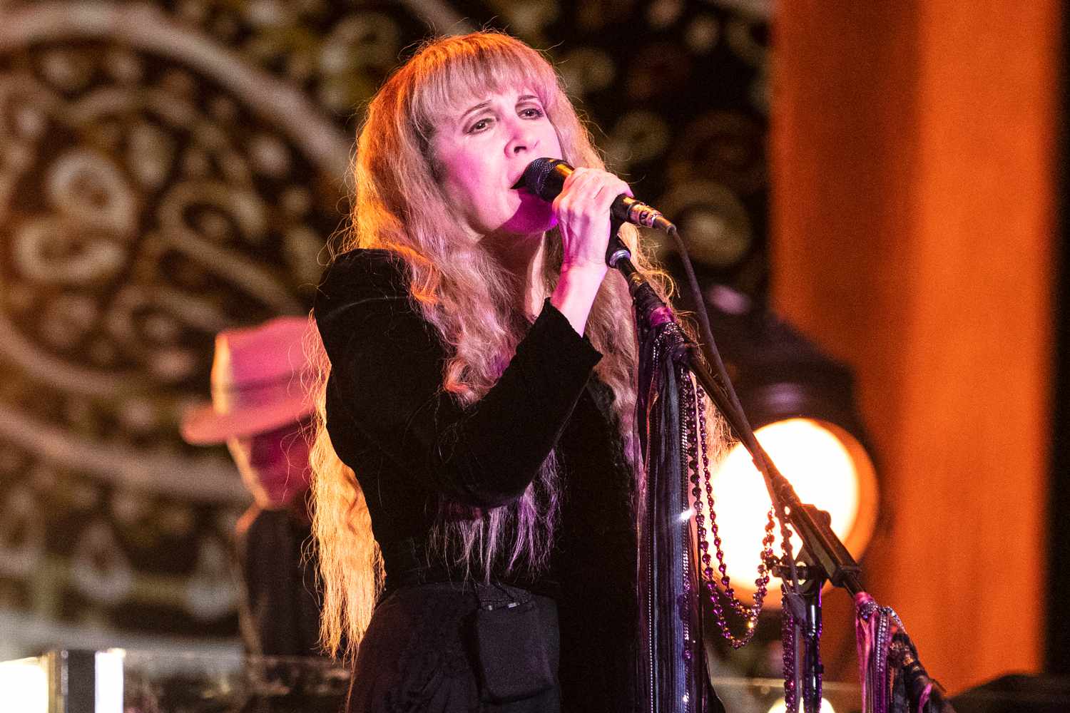 Stevie Nicks 